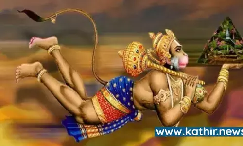 சஞ்சீவினி மூலிகையோடு அனுமர் எடுத்து வந்த மற்ற மூலிகைகள்! ஆச்சர்ய தகவல்