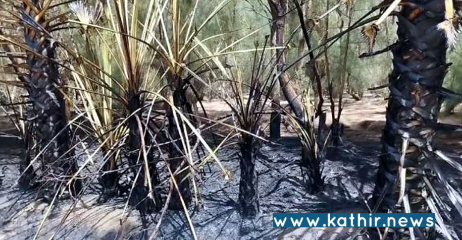 பாகூர் மணப்பட்டு காட்டுப்பகுதியில் திடீர் ஏற்பட்ட காட்டூத்தீ!