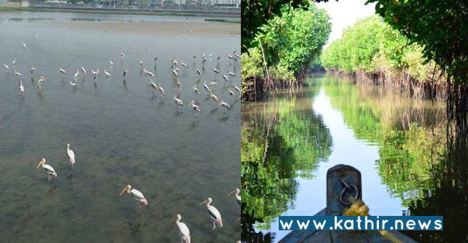 தமிழகத்தில் 3 இடங்களுக்கு சர்வதேச அங்கீகாரம்: மத்திய அரசு அதிரடி நடவடிக்கை!