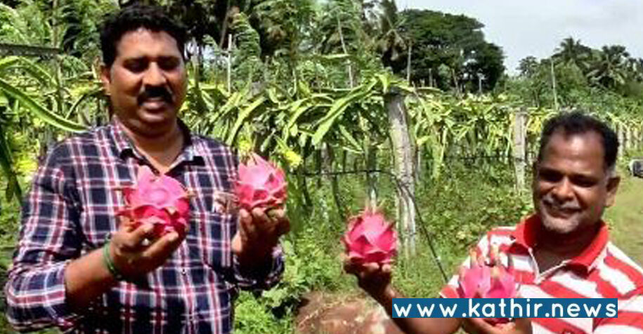 சிறு விவாசயிகள் வாங்கும் 3 லட்சம் ரூபாய் வரையிலான கடன் - மத்திய அரசு கொடுக்கும் ஜாக்பாட்