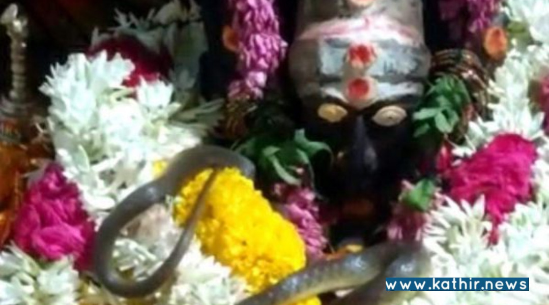 அம்மன் சிலை கழுத்தில் படம் எடுத்து ஆடிய பாம்பு! எங்கு தெரியுமா?