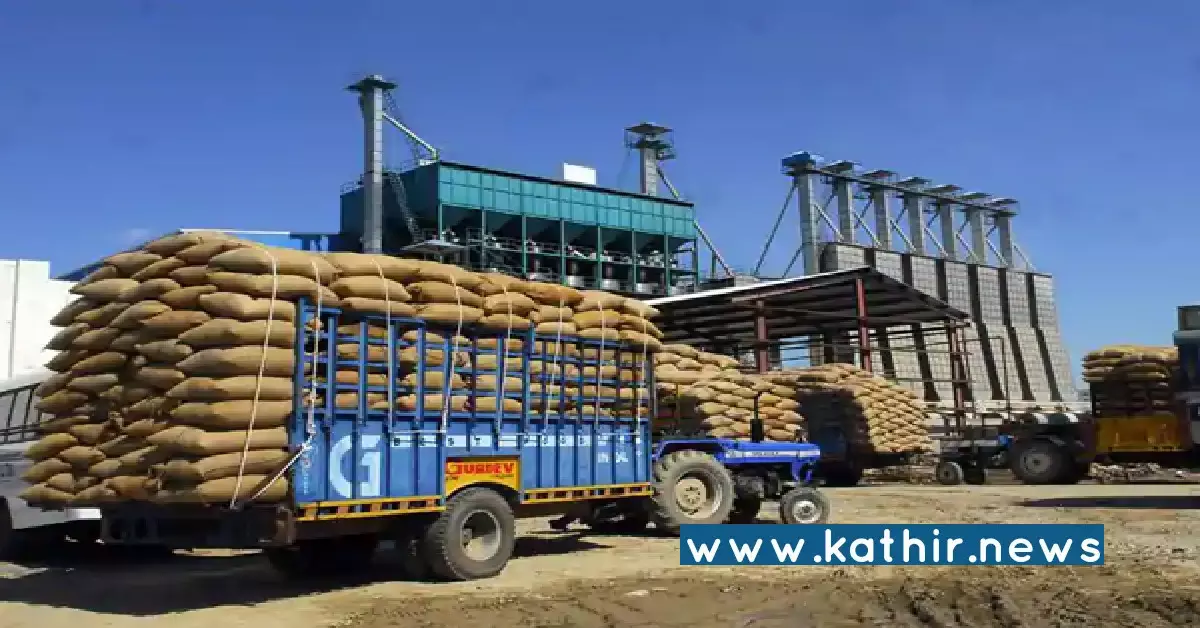 இந்தியாவின் வேளாண் மற்றும் பதப்படுத்தப்பட்ட உணவுப் பொருட்கள் ஏற்றுமதி 13771 மில்லியன் அமெரிக்க டாலராக உயர்வு! இந்தியாவின் வேளாண் மற்றும் பதப்படுத்தப்பட்ட உணவுப் பொருட்கள் ஏற்றுமதி 13771 மில்லியன் அமெரிக்க டாலராக உயர்வு!