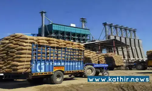 இந்தியாவின் வேளாண் மற்றும் பதப்படுத்தப்பட்ட உணவுப் பொருட்கள் ஏற்றுமதி 13771 மில்லியன் அமெரிக்க டாலராக உயர்வு!