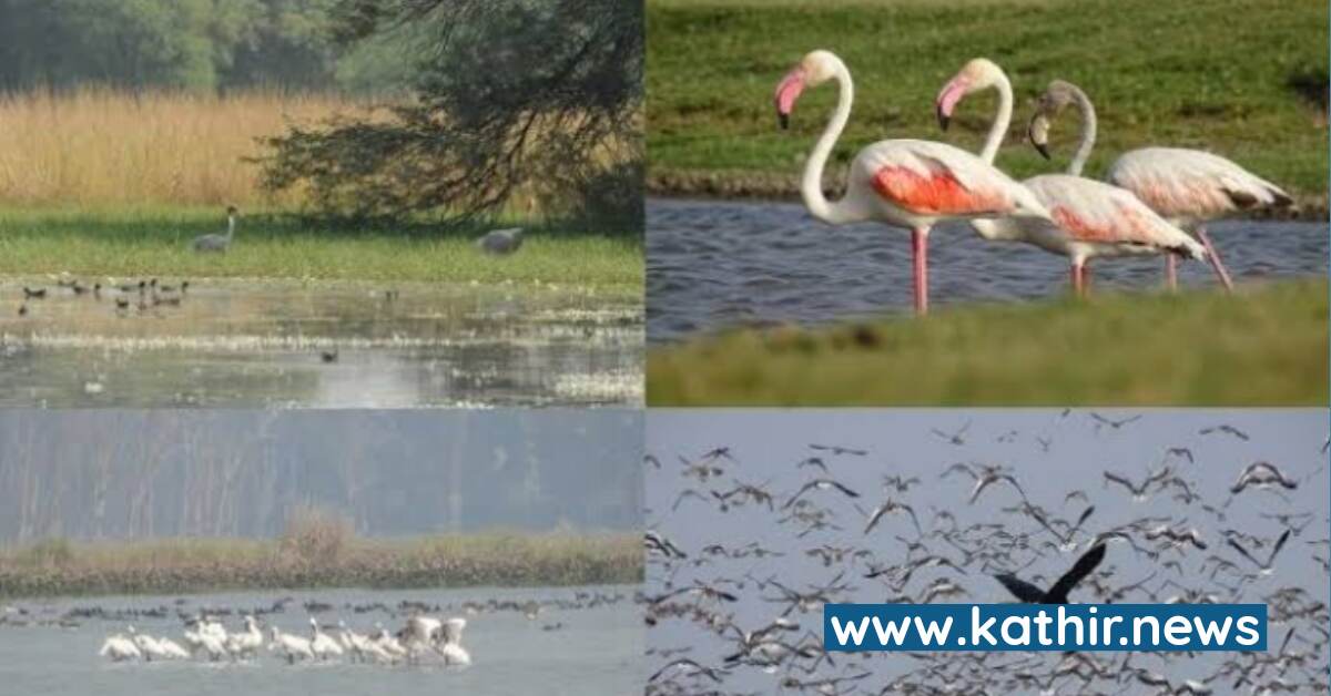 தமிழகத்தில்  எந்தெந்த இடங்கள் ராம்சார் பட்டியலில் சேர்க்கப்பட்டுள்ளது என்று தெரியுமா?