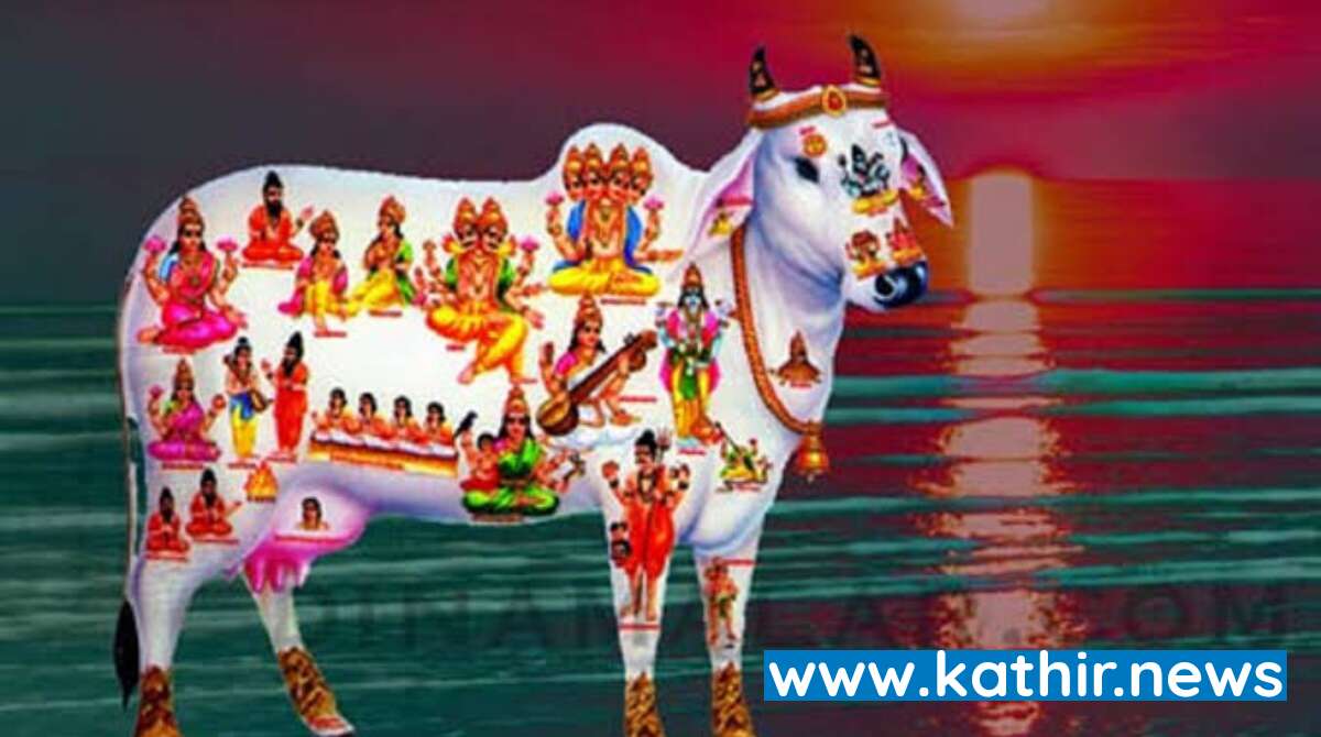 பசு கோமாதா ஆனது எதனால்?