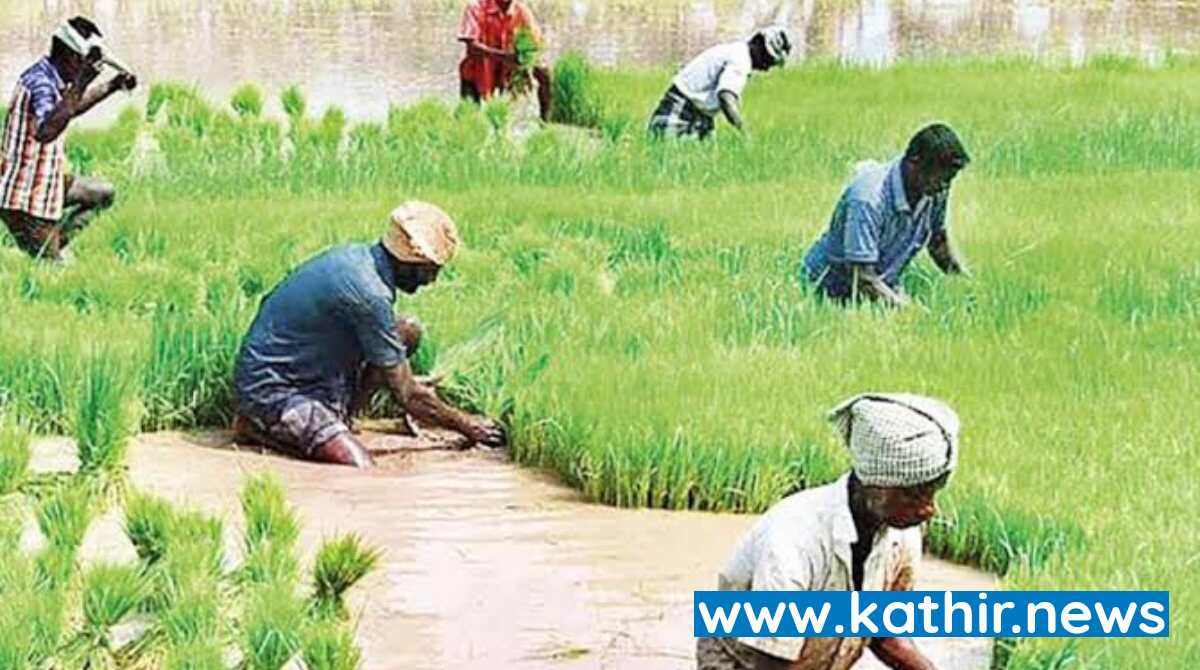 விவசாயிகள் நலன் மேம்பட பயிர் காப்பீட்டு திட்டத்தை மாற்றி அமைக்கும் மத்திய அரசு