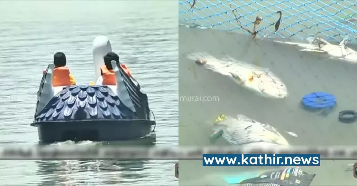 ஸ்டாலினால் பிளானே இல்லாமல் துவங்கப்பட்ட படகுசவாரி - மீனவர்கள் வாழ்க்கையை கேள்விக்குறி ஆக்கிய அவலம்!