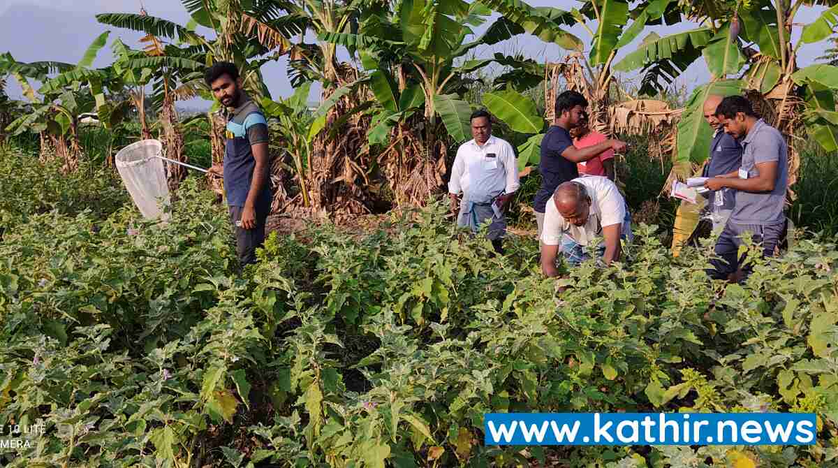 ஈஷா சார்பில் பூச்சி மேலாண்மை குறித்த விவசாய களப்பயிற்சி