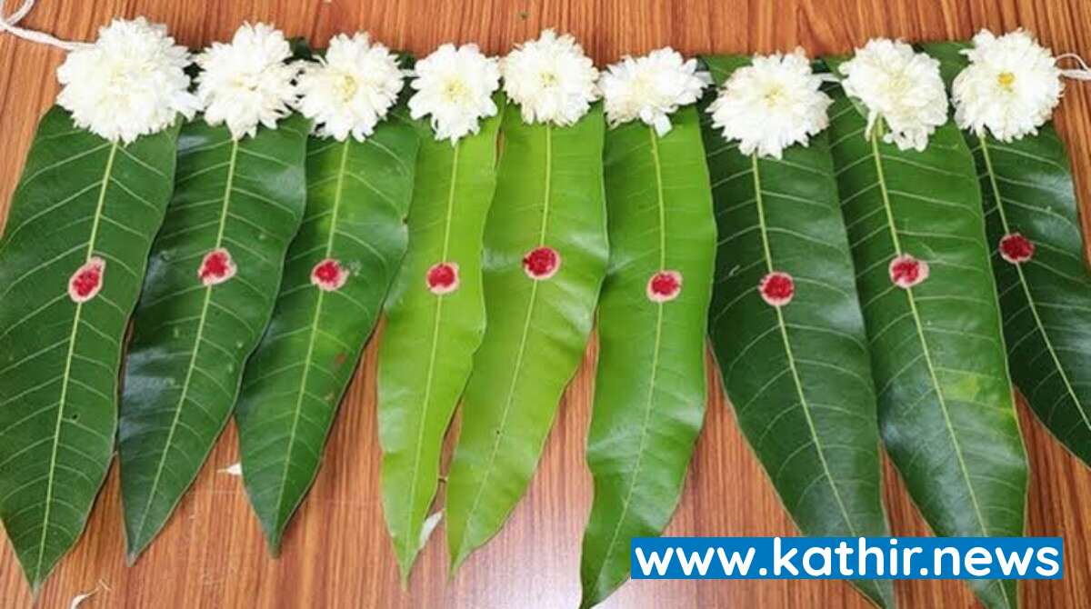 விழாக்களிலும், விசேஷ வீடுகளிலும் மாவிலைத் தோரணங்கள் கட்டுவது எதற்காக?