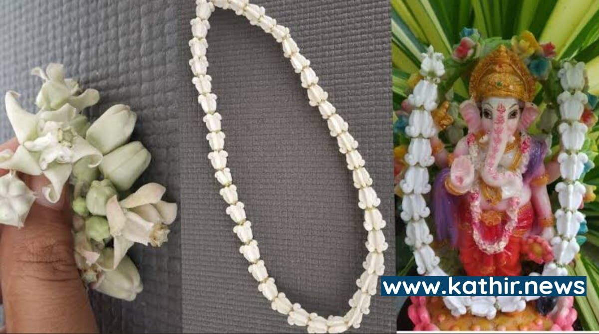 விநாயகருக்கு எருக்கம் பூ அணிவித்து வழிபடுவது ஏன்? அதனால் ஏற்படும் நன்மைகள்