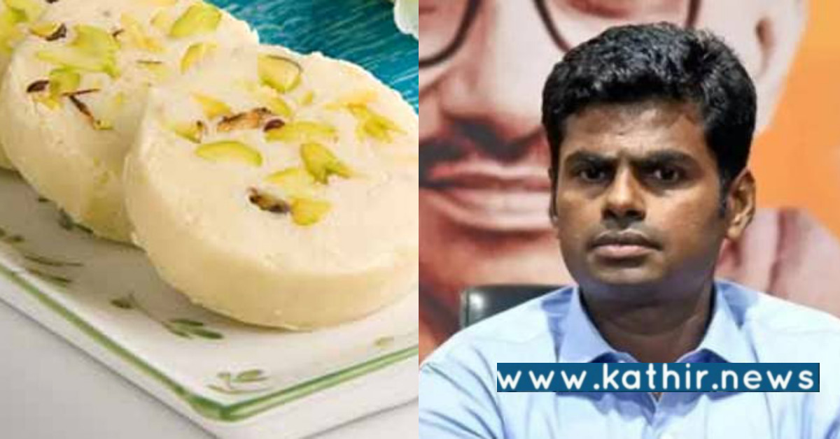 விடியல் தருகிறோம் என சொல்லி விலை ஏற்றத்தை மட்டும் தானே தர்றீங்க - ஸ்டாலினை சாடிய அண்ணாமலை