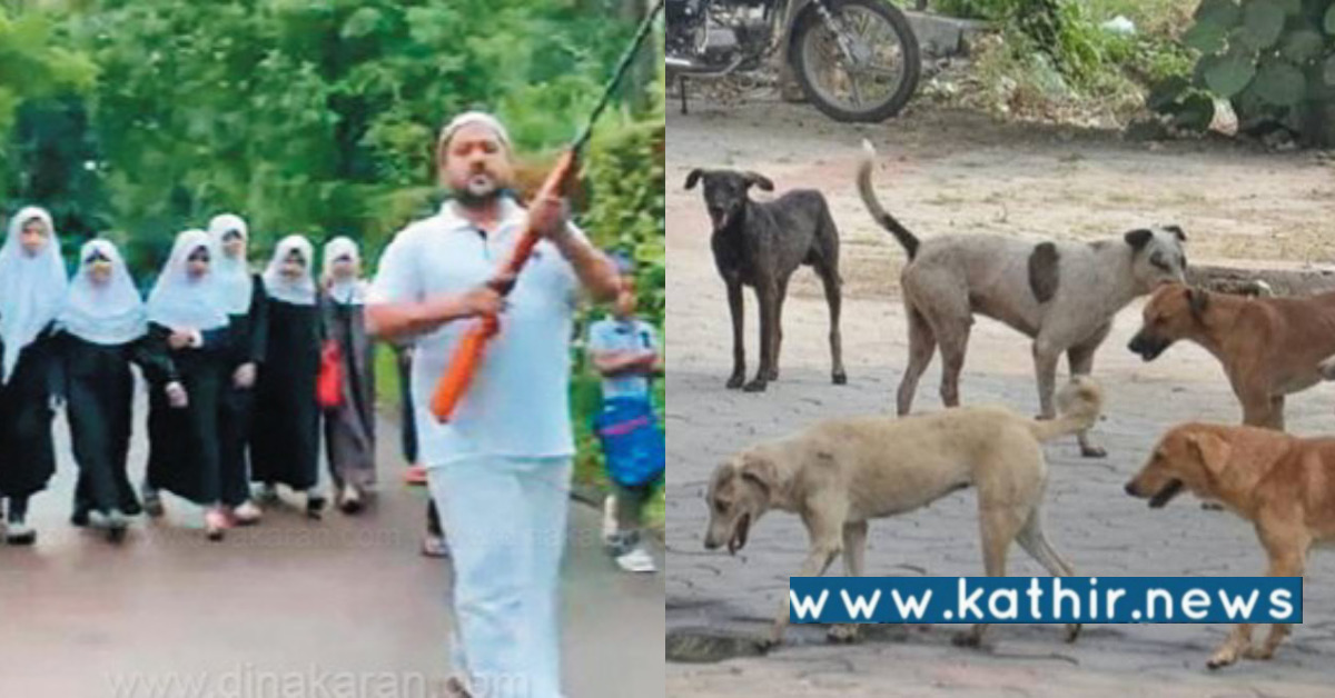 கேரளத்தில் அதிகரித்த தெரு நாய்கள் தொல்லை - துப்பாக்கி ஏந்தி சென்றவரை தூக்கி உள்ளே வைத்த போலீஸ்!