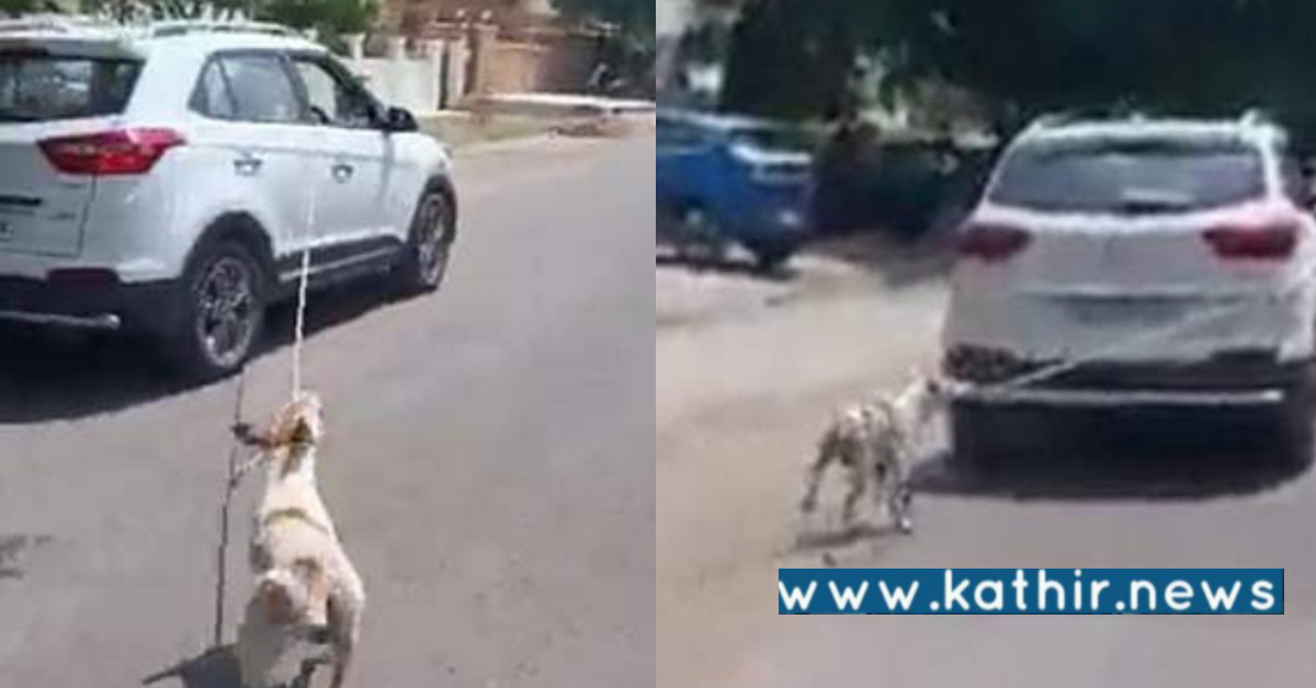 காரில் கட்டி தெரு நாயை இழுத்துச் சென்ற மருத்துவர் - காவல் துறையினர் வழக்கு பதிவு!