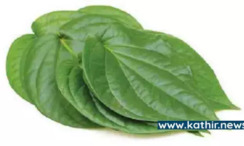 குபேரரின் அருளை பெற வெற்றிலையை பயன்படுத்துவது எப்படி?