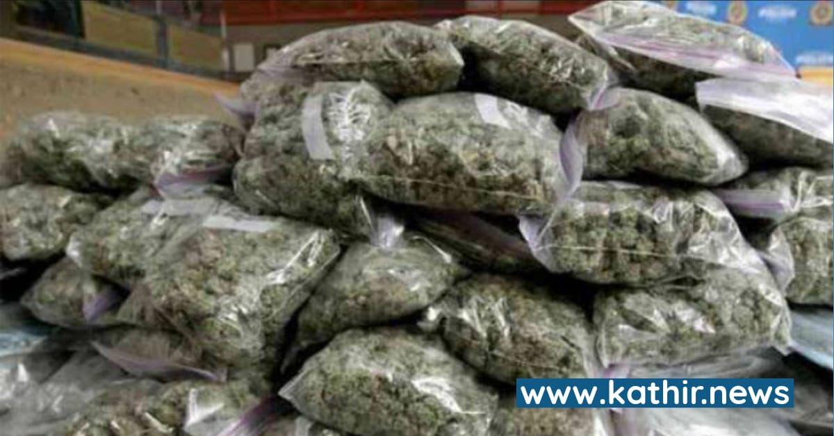 திருப்பூரில் சரளமாக புழங்கும் கஞ்சா - கணக்கு காட்ட குறைந்த அளவே பதியப்படுகிறதா வழக்குகள்?