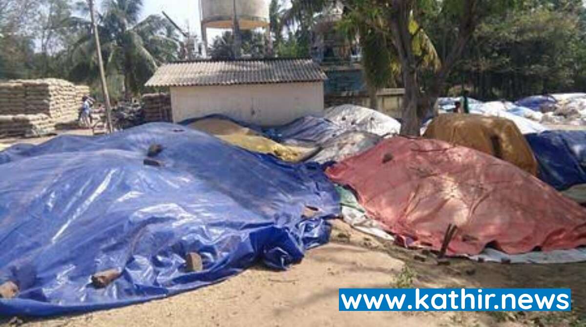 அறுவடை செய்த நெல்லை பாதுகாக்க முடியாமல் திண்டாடும் விவசாயிகள் - திருவாரூர் மாவட்டத்தை கண்டுகொள்வாரா முதல்வர் ஸ்டாலின்?