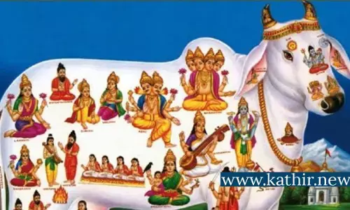 வாஸ்து தோஷத்தை நீக்கும் கோமாதா வழிபாடு! ஆச்சர்ய தகவல்