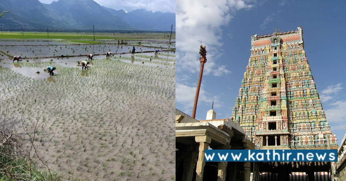 ஸ்ரீவில்லிபுத்தூர் ஆண்டாள் கோவிலின் 819 ஏக்கர் - நில அளவீடு தீவிரம்!