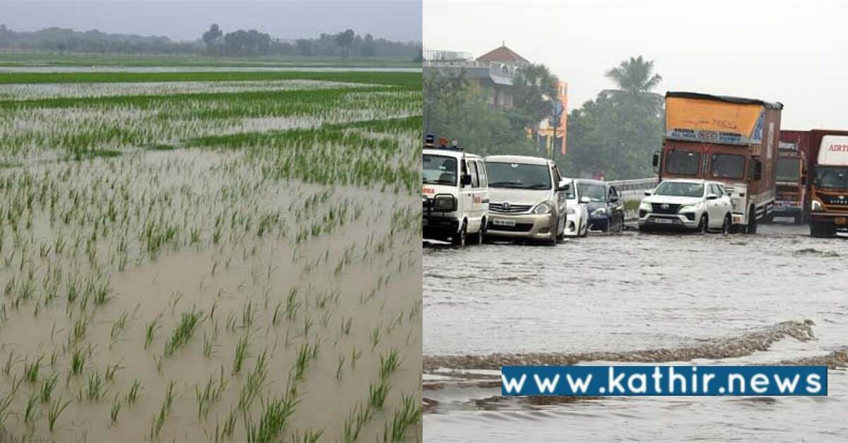 வடகிழக்கு பருவ மழை தீவிரம், வெள்ளத்தில் மூழ்கிய நெல் வயல்கள் - கண்டுகொள்ளுமா அரசு?