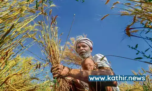 இவ்வளோ பிரம்மாண்டம் நடக்கிறதா? பயிர் காப்பீடு செய்வதில் உலகின் மூன்றாவது பெரிய நாடான இந்தியா!