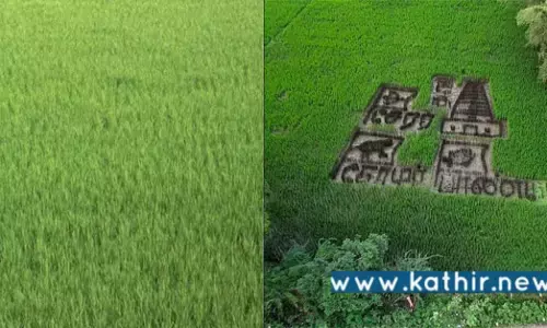 பாரம்பரிய நெல் வகைகளை தமிழக அரசு மீட்க வேண்டும்: இயற்கை விவசாயி கோரிக்கை!