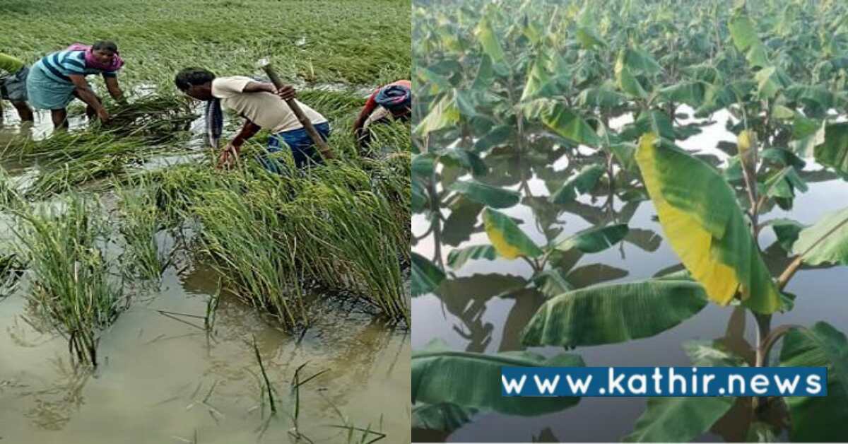 ஏரியிலிருந்து உபரி நீர் வெளியேற்றம் பயிர்கள் சேதம்: இழப்பீடு வழங்க மறுக்கும் தி.மு.க?