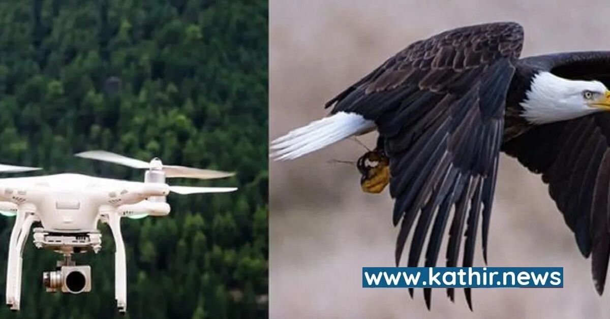 எதிரி நாட்டு ஆளில்லா விமானத்தை அழிக்க டெக்னாலஜியே தேவையில்லை - பருந்துகள் போதும்: உலக நாடுகளை அசர வைக்கும் இந்தியா!