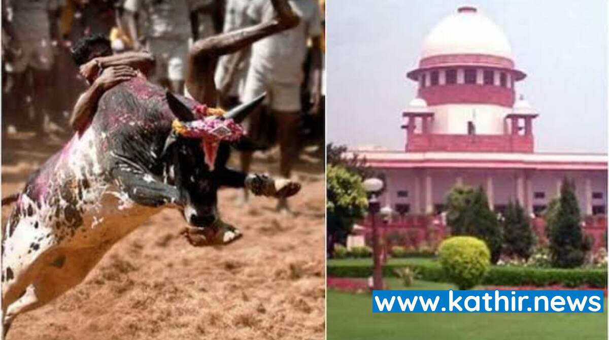 வீரர்களுக்கு காயம்  ஏற்படுவதால் குத்து சண்டைக்குத் தடை விதிக்கலாமா? பீட்டாவிற்கு சுப்ரீம் கோர்ட் சுளீர் கேள்வி