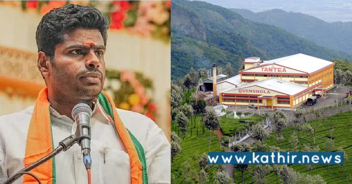 தமிழக டான்டீ விவகாரம் - அண்ணாமலை போராடிய பத்தே நாளில் பொட்டிப்பாம்பாய் நிறுத்தி வைத்த தி.மு.க அரசு