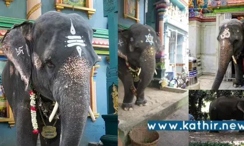 புதுச்சேரி: மணக்குள விநாயகர் கோவில் யானை லட்சுமிக்கு சிலை!