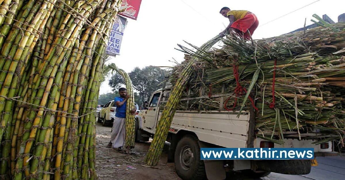 வேஸ்ட்டே வேண்டாம்! எஞ்சிய கரும்புகளும் எத்தனால் உற்பத்திக்கு எடுத்துக்கிறோம் - மத்திய அரசு அசத்தல்!