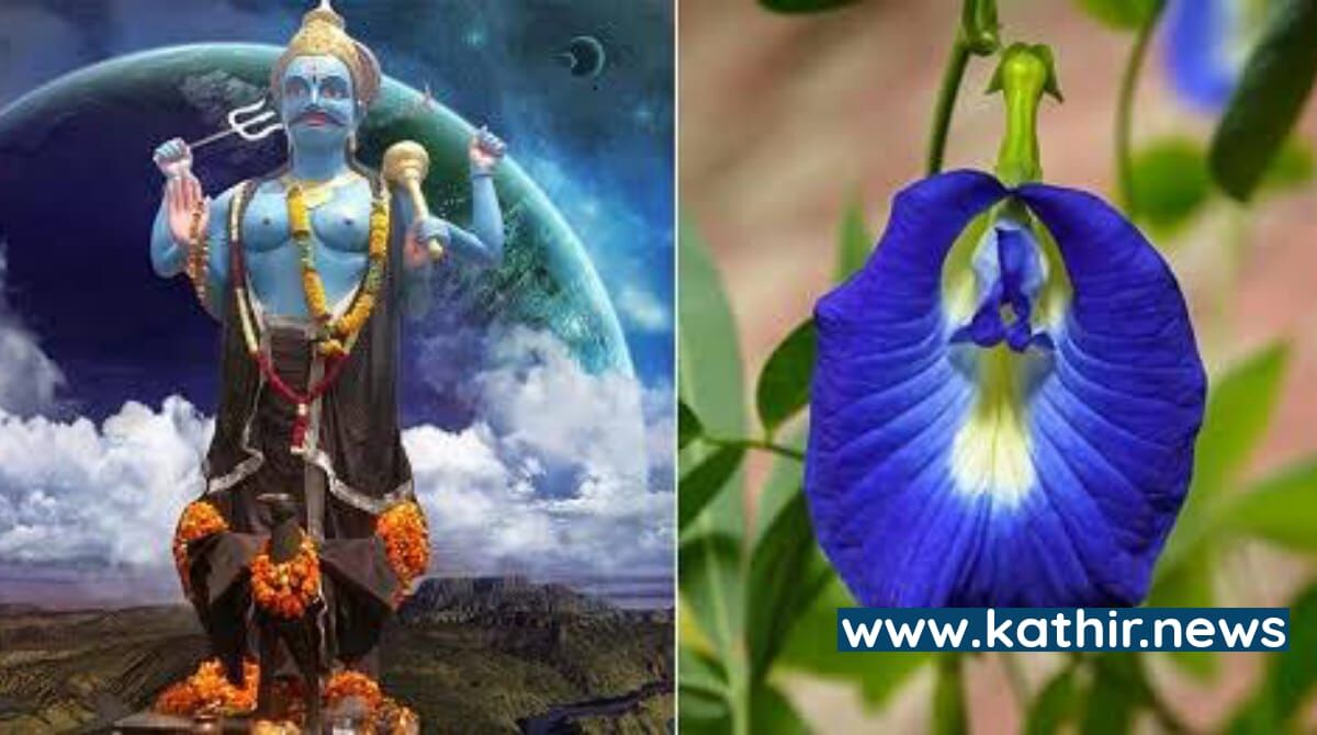 பொருளாதார தடையை நீக்க சங்கு பூ பரிகாரம் செய்வதெப்படி?