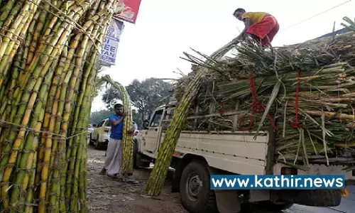 வேஸ்ட்டே வேண்டாம்! எஞ்சிய கரும்புகளும் எத்தனால் உற்பத்திக்கு எடுத்துக்கிறோம் - மத்திய அரசு அசத்தல்!
