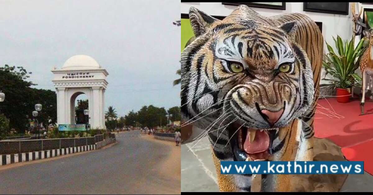 புதுச்சேரி: ஆந்திர மாநில பூங்காவிற்கு தயாராகும் 100 சிற்பங்கள்!