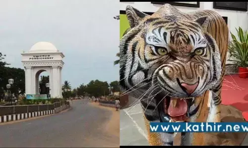 புதுச்சேரி: ஆந்திர மாநில பூங்காவிற்கு தயாராகும் 100 சிற்பங்கள்!