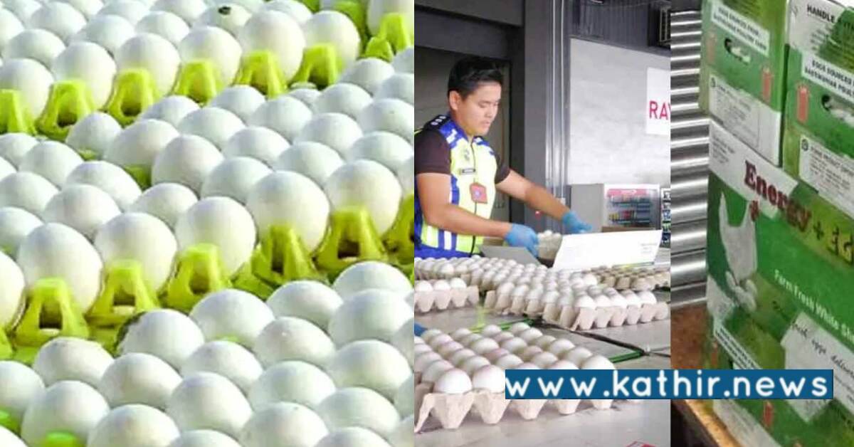 மலேசியாவில் ஏற்பட்ட முட்டை கட்டுப்பாடு: நாமக்கல்லில் இருந்து ஏற்றுமதி!