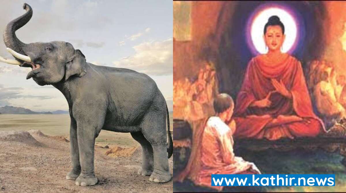 நல்ல கருத்துக்களை பேசுவதால் ஏற்படக்கூடிய நற்பயன்கள் -  விளக்கும் ஜென் கதை