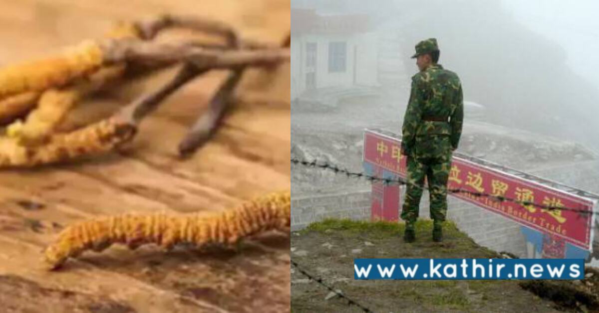 இமயமலை தங்கத்தை திருடுவதற்காக சீனா ராணுவ வீரர்கள் ஊடுருவலா?