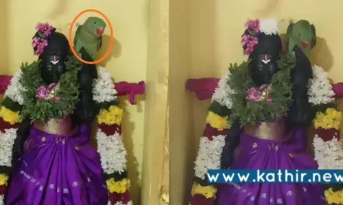 தானாக வந்து ஆண்டாள் சிலை மீது அமர்ந்த பச்சைக்கிளி: பக்தர்கள் ஆரவார வழிபாடு!