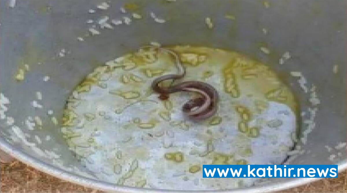 மேற்கு வங்காளத்தில் பள்ளிக்கூடத்தில் வழங்கப்பட்ட மதிய உணவில் பாம்பு - முப்பது குழந்தைகள் ஆஸ்பத்திரியில் அனுமதி