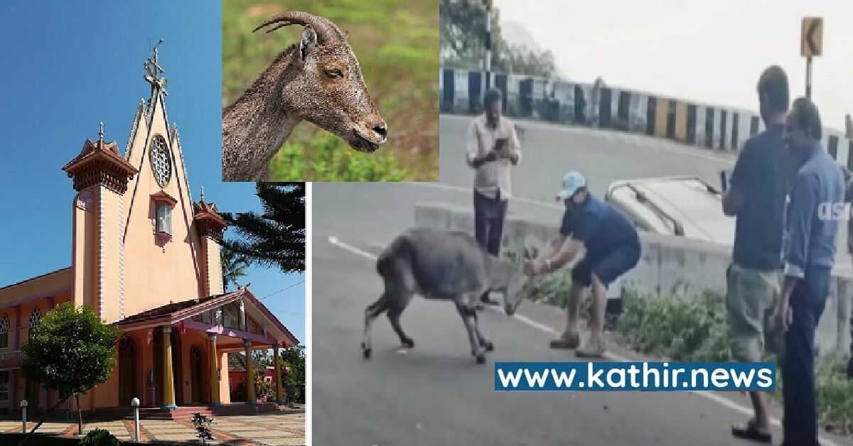 நீலகிரி ஆட்டை துன்புறுத்திய  கிறிஸ்தவ பாதிரியாருக்கு சிறை!