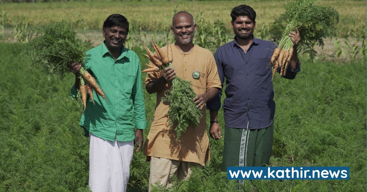 கேரட், பீட்ரூட்டை சமவெளியில் சாகுபடி செய்து மண் காப்போம் இயக்கம் சாதனை! - விவசாயிகளுக்கு வழிகாட்டும் ஈஷாவின் மாதிரி பண்ணை