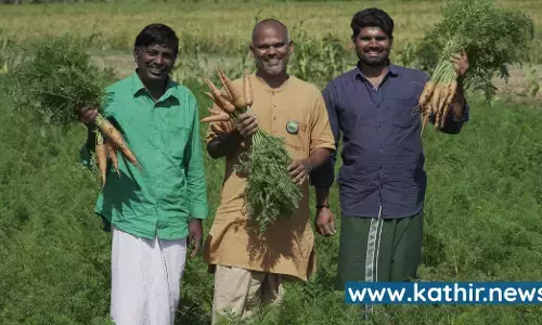 கேரட், பீட்ரூட்டை சமவெளியில் சாகுபடி செய்து மண் காப்போம் இயக்கம் சாதனை! - விவசாயிகளுக்கு வழிகாட்டும் ஈஷாவின் மாதிரி பண்ணை
