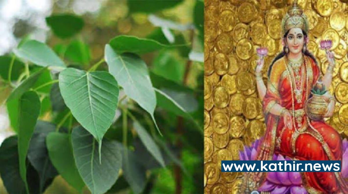 செல்வம் சேர இலட்சுமி தேவியை பெளர்ணமியில் இவ்வாறு வணங்க வேண்டும்.!