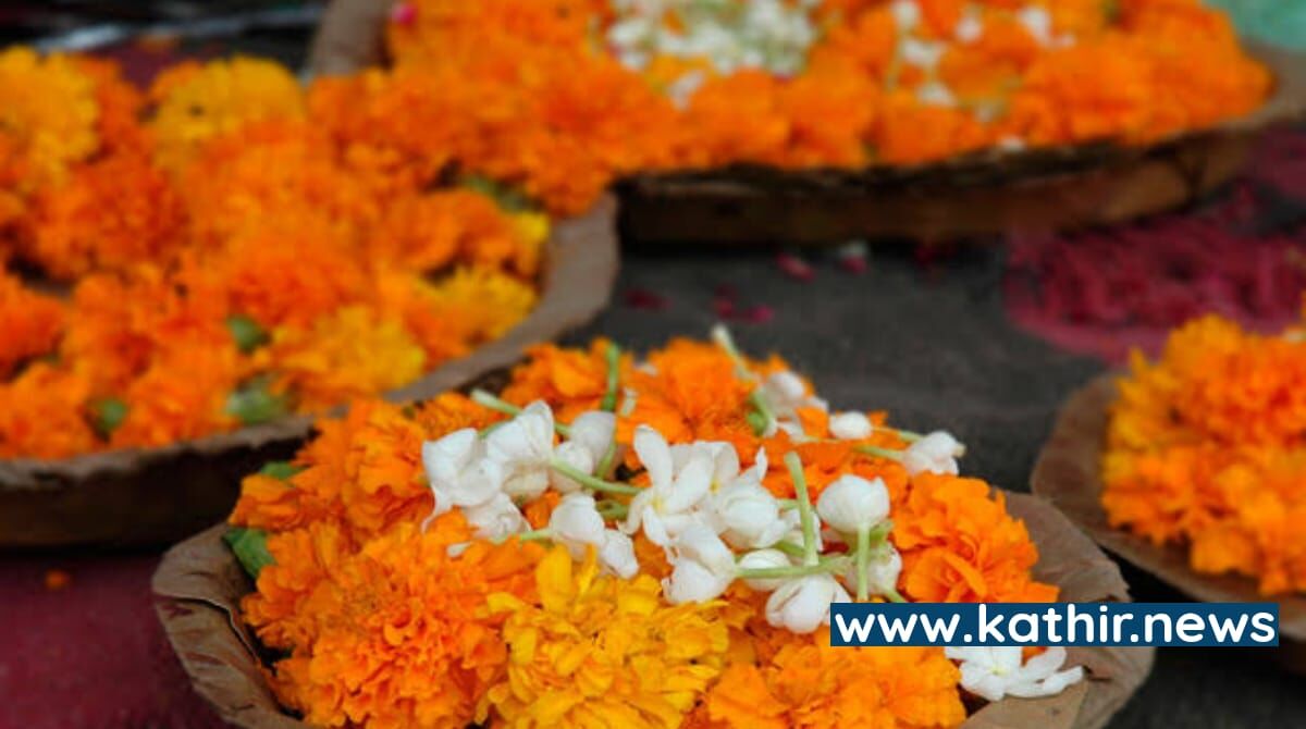 ஆன்மீக சடங்குகளில் சாமந்தியை பயன்படுத்துவது ஏன்? சகலமும் அருளும் சாமந்தி