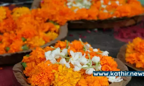 ஆன்மீக சடங்குகளில் சாமந்தியை பயன்படுத்துவது ஏன்? சகலமும் அருளும் சாமந்தி