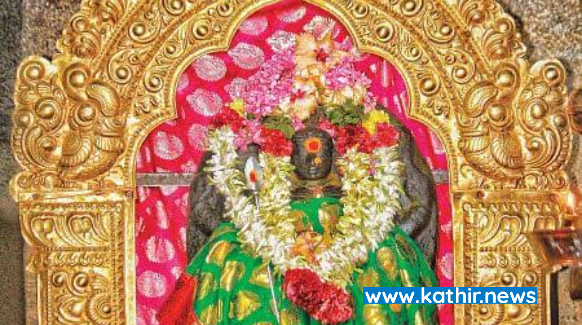 வலிப்பு நோய் தீர்க்கும் வலுப்பூர் அம்மன்