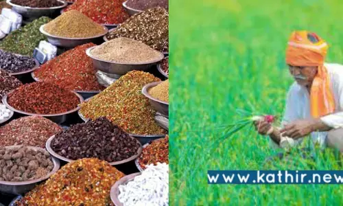 இந்திய வேளாண் பொருட்களுக்கு வெளிநாட்டில் தேவை உள்ளது: கலெக்டரின் சுவாரஸ்ய தகவல்!