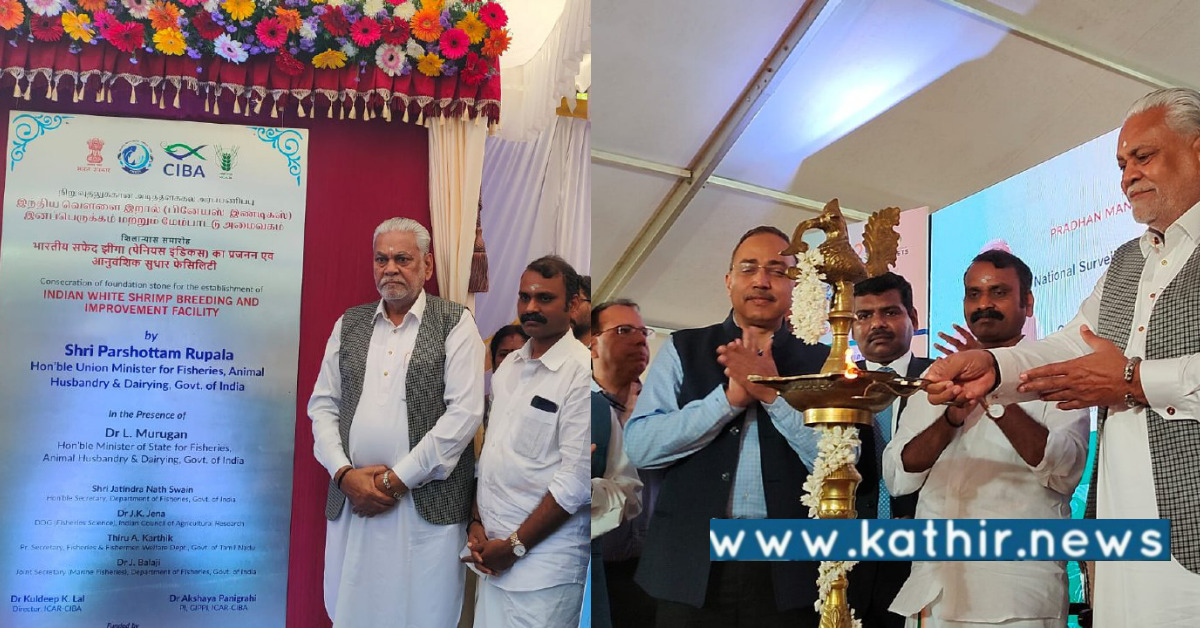 தமிழக மீன் வளத்துறை மேம்பாட்டிற்கு ரூ. 3000 கோடி வழங்கிய மத்திய அரசு: மத்திய இணையமைச்சர் தகவல்!