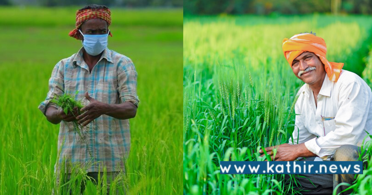 713 லட்சம் மெட்ரிக் டன் நெல் கொள்முதல்: வங்கிக் கணக்கில் நேரடியாக பயனடைந்த 1 கோடி விவசாயிகள்!